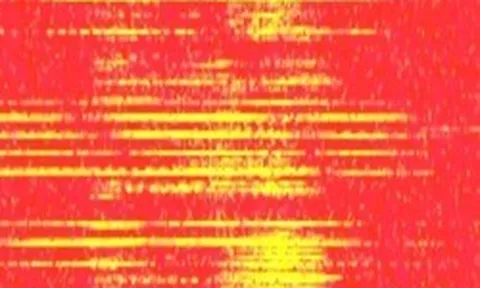 Phát hiện thông điệp khẩn cấp bí ẩn trên mạng lưới quân sự Mỹ