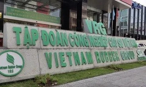 GVR báo lãi kỷ lục quý I/2026, mảng cao su tiếp tục dẫn dắt tăng trưởng