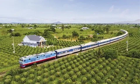 Bộ GD&ĐT ban hành chuẩn chương trình đào tạo đại học ngành đường sắt