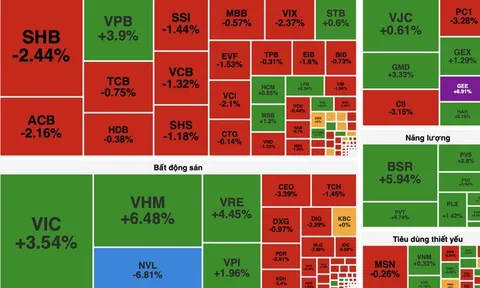 VN-Index tăng hơn 20 điểm nhưng thị trường vẫn xanh vỏ đỏ lòng