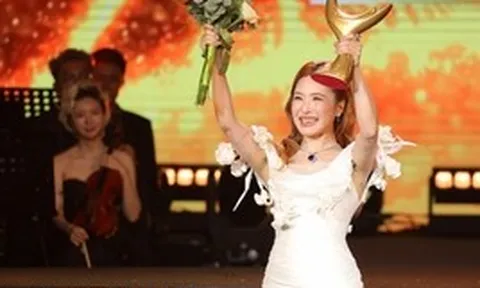 Nhiều tài khoản Ấn Độ, Châu Phi... thả tim vào bài đăng Hương Tràm nhận giải Cống hiến