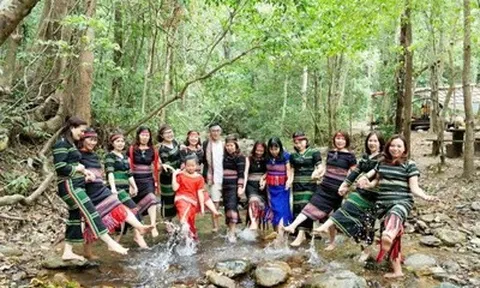 Du lịch sinh thái: Chìa khóa mới mở lối kinh tế rừng Gia Lai