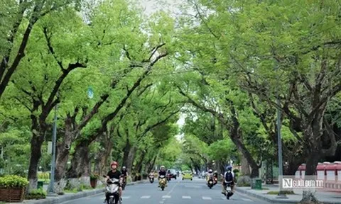 Huế trước bài toán đặt tên đường trong đô thị di sản hiện đại