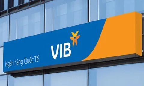 Vợ Phó Chủ tịch VIB chi 30 tỷ đồng gom thêm cổ phiếu