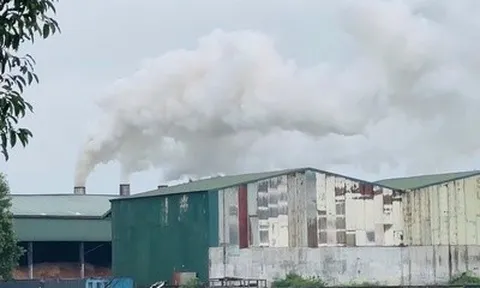 Khói mù mịt từ nhà máy viên nén: Quan trắc độc lập phát hiện khí CO vượt chuẩn