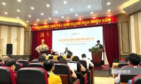 VNDirect đặt mục tiêu lãi kỷ lục 2.414 tỷ đồng, dự kiến phát hành thêm 462 triệu cổ phiếu