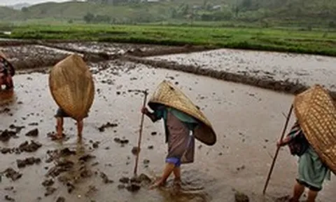 Bí ẩn ngôi làng mưa nhiều nhất thế giới: Cả năm không khô nổi một ngày