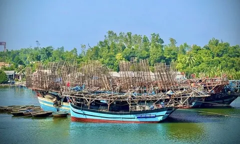 Tàu đầy ắp hải sản nhưng ngư dân Quảng Ngãi vẫn phải "gửi nhờ" cảng ngoài tỉnh