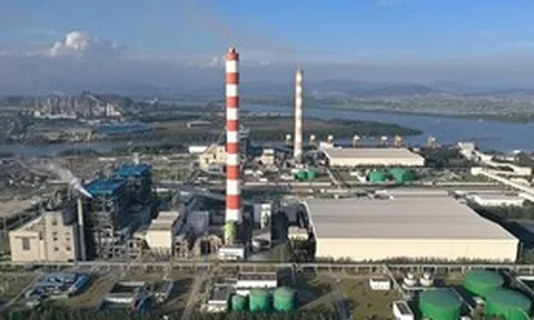 Nhiệt điện Hải Phòng kinh doanh ra sao trước khi TGĐ Dương Sơn Bá bị bắt?