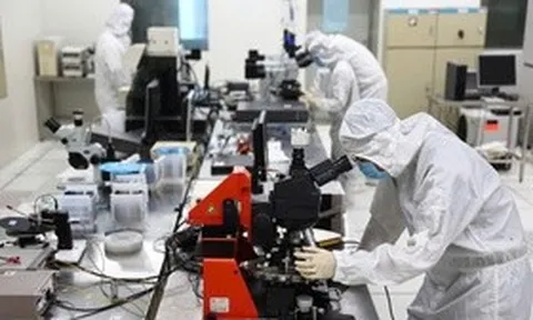 Đến năm 2030 hình thành khoảng 30 nhóm nghiên cứu mạnh về khoa học tự nhiên
