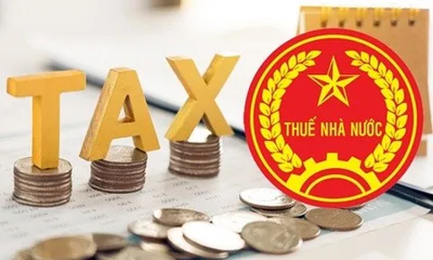 Từ 1/7, doanh nghiệp nợ thuế, không hoạt động tại địa chỉ kinh doanh sẽ bị cơ quan thuế cưỡng chế phá sản