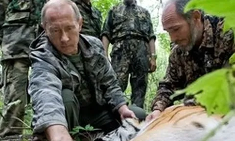 Tổng thống Nga Putin tặng bốn con hổ cho nước láng giềng