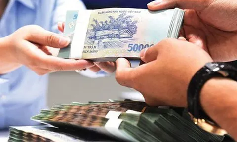 Cứ theo quy định mà làm