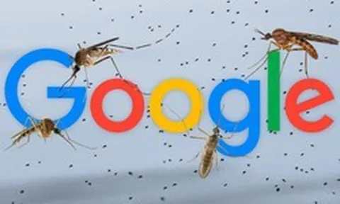 Google muốn thả 32 triệu con muỗi “công nghệ” về rừng: Mục tiêu là gì?