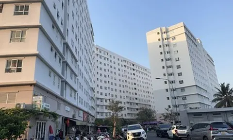 Tp.HCM tăng tốc phát triển gần 200.000 căn nhà ở xã hội, cảnh báo người dân tránh “cò” làm hồ sơ