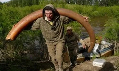 Bí ẩn rùng rợn đằng sau cơn sốt săn lùng xác voi ma mút Siberia