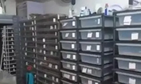 Phát hiện một căn hộ có lượng điện tiêu thụ nhiều bất thường, cảnh sát ập vào, chứng kiến cảnh tượng rùng mình