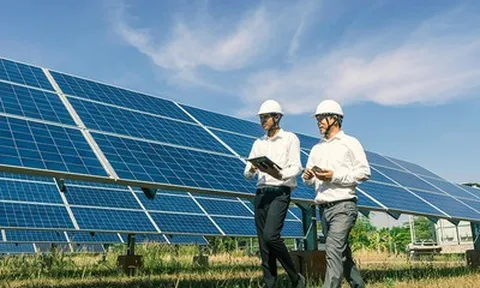 Rox Energy bị xử phạt 92,5 triệu đồng do chậm công bố thông tin