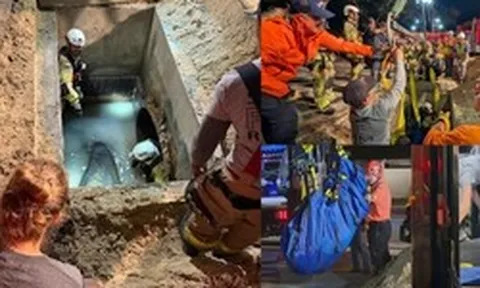 Bí ẩn lòng đất: Vì sao sinh vật khổng lồ dài 2 mét lại mắc kẹt trong ống thoát nước?
