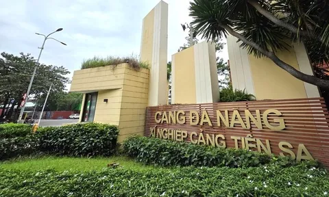 Lãnh đạo Cảng Đà Nẵng nói gì về kết luận thanh tra dự án Cảng Tiên Sa?