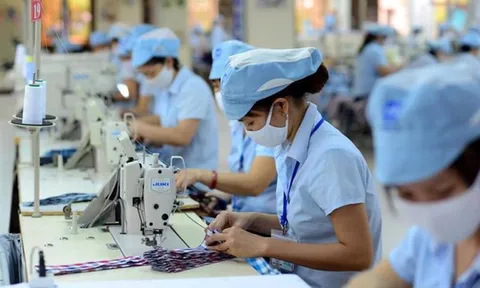 Đừng xem nhẹ dữ liệu người lao động, mua bán trái phép có thể bị phạt 70 triệu đồng
