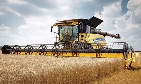 Cơ hội được thực tập và hưởng lương tại châu Âu mà nhân sự