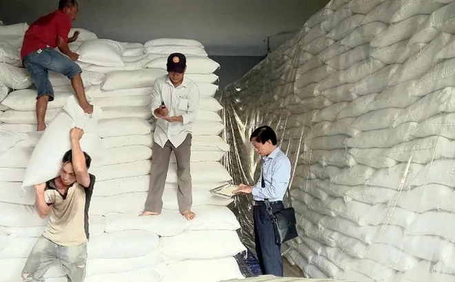 Hơn 4.100 tấn gạo từ kho dự trữ quốc gia hỗ trợ 5 tỉnh dịp Tết và giáp hạt